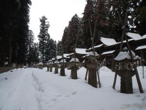 a row of trees covered in snow next to a road at Itoya Ryokan in Nanyo