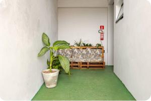 a room with a couch and a potted plant at Pousada da Vila in Araçariguama