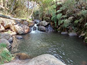 Galeriebild der Unterkunft Casa Bahu Campestre in Villa de Leyva + 6 Fotos