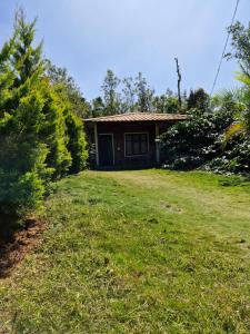 Zahrada ubytování Athena Homestay