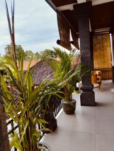 Zahrada ubytování Roberto Suites Ubud View by EPS