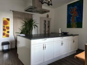 Kuchyňa alebo kuchynka v ubytovaní Auern Apartement