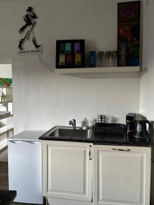 Kuchyňa alebo kuchynka v ubytovaní Auern Apartement