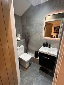 a bathroom with a toilet and a sink and a mirror at Abbys Cottage in Windermere +46 photos