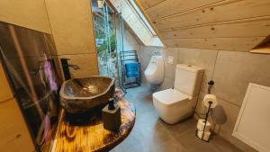 a bathroom with a sink and a toilet at Chaty Wald in Karpacz +36 photos