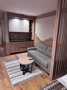 a living room with a couch and a table at Apartman C234 Aparthotel Vučko Jahorina privatni apartman in Jahorina