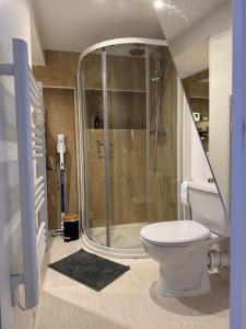 a bathroom with a shower and a toilet at Aux Petits Oignons in Albi