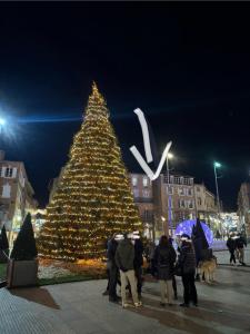 a large christmas tree with people standing around it at Aux Petits Oignons in Albi