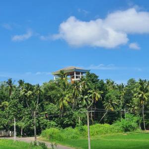 a house on top of a forest of palm trees at Guest house weherahena in Matara