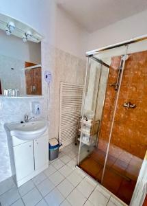 un bagno con lavandino e doccia di Hotel Fogl a Nová Bystřice