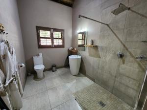a bathroom with a shower and a toilet and a sink at Luvivane Luxury Villa in Marloth Park