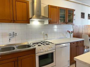 a kitchen with a stove and a sink at Apartman Neva ,prostrani stan u blizini mora in Pula