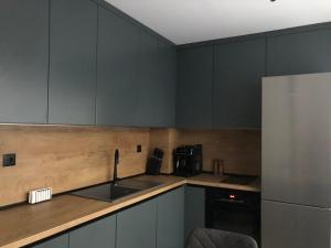 Kuchyň nebo kuchyňský kout v ubytování Stylish 2BDR apartment Gramada, free parking