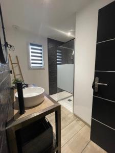 a bathroom with a sink and a glass shower at Chambres à 20minutes du circuit des 24h du mans in Soulitré