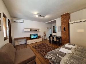 TV a/nebo společenská místnost v ubytování Apartment STUDIO 88 white