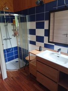 a bathroom with a sink and a shower at Maison au calme avec jardin exotique pour 7 personnes in Thorigné-sur-Dué +22 photos