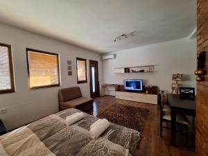 TV a/nebo společenská místnost v ubytování Apartment STUDIO 88 white