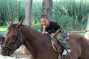 Gallery image of Villaggio Santandrea Resort in SantʼAndrea Apostolo dello Ionio