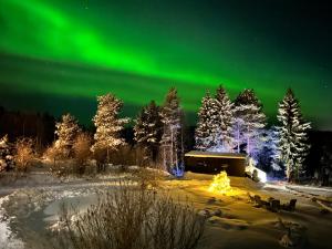 an image of the aurora dancing in the sky at The Saunacabin Enchanted Lapland in Rovaniemi