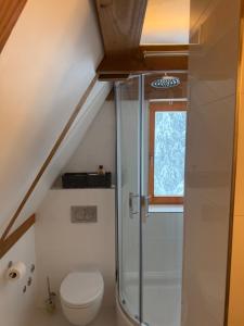 Un baño con inodoro y ducha en Vila Anđelija, en Jahorina 15 fotos más