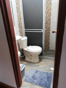 ein Badezimmer mit Toilette und blauem Teppich in der Unterkunft Family Apartment Alojamiento Sachica Villa de Leyva in Sáchica