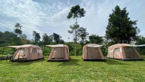 eine Gruppe von vier Zelten auf einem Feld in der Unterkunft The Valley House Ci Dwi Resort in Subang