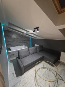 a living room with a couch and a table at Centrum Jacuzzi prywatny parking klimatyzacja 5 in Radom +2 photos