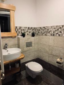 a bathroom with a toilet and a sink at Izby na Równi in Witów +25 photos