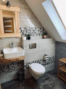 a bathroom with a toilet and a sink at Izby na Równi in Witów