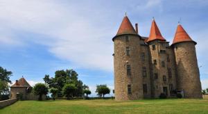 an old castle with towers on a green field at Bienvenue chez vous ! in LʼEstrade