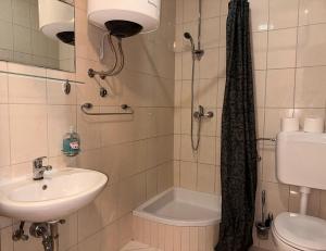 een badkamer met een wastafel, een toilet en een douche bij Apartman Vinka in Trogir +11 foto's