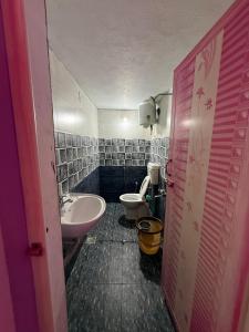 a bathroom with a toilet and a sink at Ilford Castle Home Stay Pondicherry in Puducherry