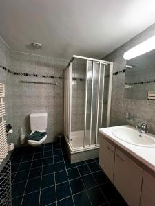 a bathroom with a shower and a toilet and a sink at Apartment Aphrodite West magnificent Eiger view in Grindelwald
