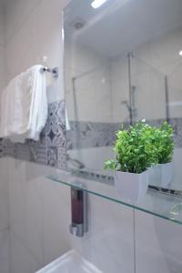 a bathroom with a potted plant sitting on a counter at The Exiles Hotel in Sliema