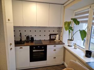 a kitchen with white cabinets and a sink and a plant at Petite City Centre Apartment self-check-in in Šiauliai