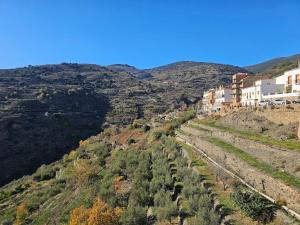 vistas a una colina con casas y árboles en Ohanes tu descanso, en Ohanes