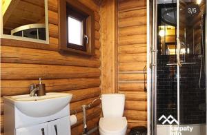 a bathroom with a toilet and a sink and a mirror at Садиба MISHEL in Yablunytsya +71 photos