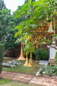 Zahrada ubytování Gran Jardín frente al mar