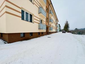 Apartmán Orlické hory v zimě
