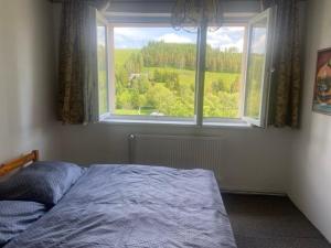 Postel nebo postele na pokoji v ubytování Apartmán Orlické hory