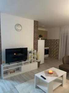 a living room with a flat screen tv on a wall at Vila Trajković in Velika Plana