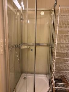 a shower with a glass door in a bathroom at Small apartment in Elnesvågen in Svinøya