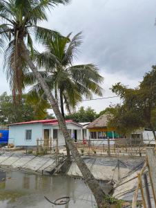 a palm tree in front of a house at sundarbon birds view cottage in Japur