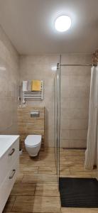 ザジェチェにあるUroczysko nad Jeziorem Żywieckimのトイレとガラスのシャワー付きのバスルーム +18枚の写真