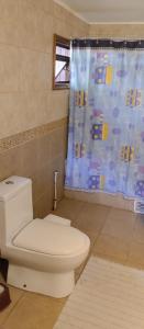 プエルトモントにあるHabitación Casa Anáhuacのトイレとシャワーカーテン付きのバスルーム