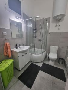 a bathroom with a shower and a toilet and a sink at BIG APARTMAN BELA CRKVA in Bela Crkva