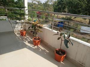 three potted plants sitting on a balcony at Luxury Bonafide Villa in Lohārghāt