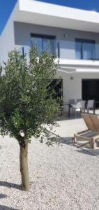 een kleine boom voor een huis bij Casa Mikali in Alfeizerão