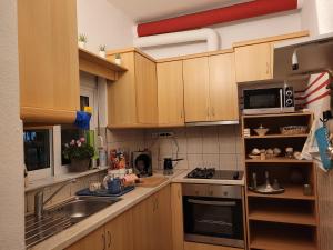 Kuchyň nebo kuchyňský kout v ubytování Alex Home 1