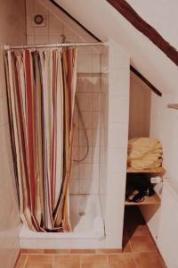 a bathroom with a shower curtain in a room at Ferienhof Bahlens-Schur in Friedland +26 photos